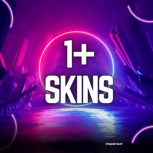 1 skins 1+ Skins FN Account From Frenzos